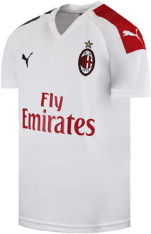 PUMA DryCell VCF Valencia Kindervoetbaltenue Wit