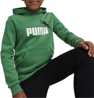 PUMA Essential Hoodie Junior groen - wit - zwart - 128