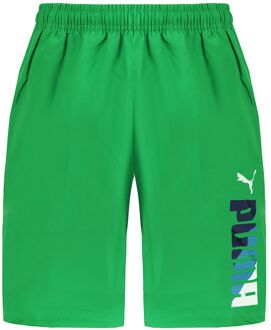 PUMA FUN Heren Groen Geweven Bermuda Shorts - L