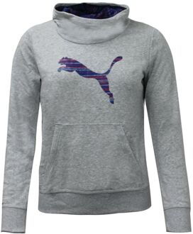PUMA FUN TD Grijs Junior Sweat met capuchon