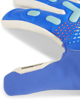 PUMA FUTURE Match Unisex Doelmanshandschoenen Blauw - 11 (Gloves)