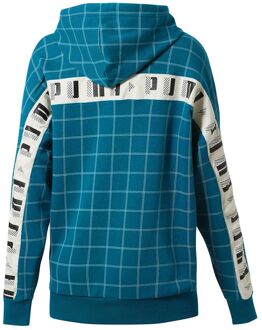 PUMA Graphic Logo Long Sleeve Pullover Teal Womens Hoodie 578339 03 Groenblauw