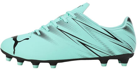 PUMA Heren Attacanto FG/AG Voetbalschoenen (Pepermunt/Zwart) - EU 43 / UK 9