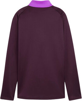 PUMA Heren Blaze Quarter Zip Top (Paars)