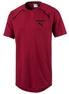 PUMA Heren Evolution Core T-Shirt Casual Sport Top Bourgondië 573337 09 Bourgogne