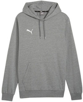 PUMA Heren hoodie Grijs - XL