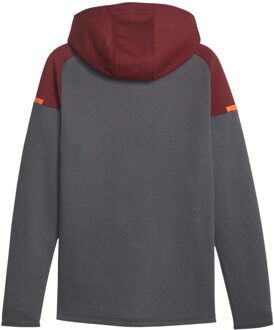 PUMA Heren Manchester City FC Casual Hoodie (Grijs) - maat L