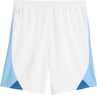 PUMA Heren Manchester City FC Shorts (Wit)