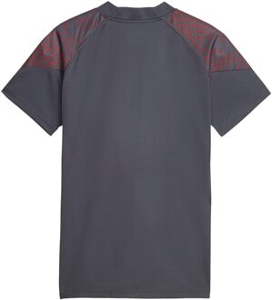 PUMA Heren Manchester City FC Training Shirt (Grijs) - L