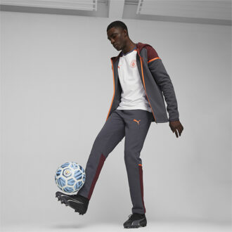 PUMA Heren Manchester City Voetbal Casual Hoodie Jacket Grijs