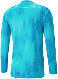 PUMA Heren Puma TeamTarget keeperstrui met lange mouwen in Blauw