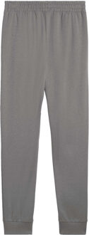 PUMA Heren Pumatech DK CL Joggingbroek (Grijs)