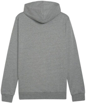 PUMA Heren team goal casual hoodie - maat XL Grijs