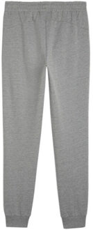 PUMA Heren team goal casuals joggingbroek Grijs - L