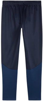 PUMA Heren team goal training joggingbroek - maat XL Blauw