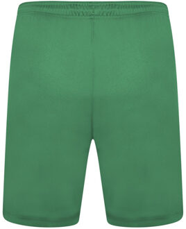 PUMA Heren team liga korte broek Groen