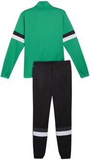 PUMA Heren team rise trainingspak Groen - M