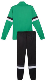 PUMA Heren team rise trainingspak Groen - XXL / XXXL