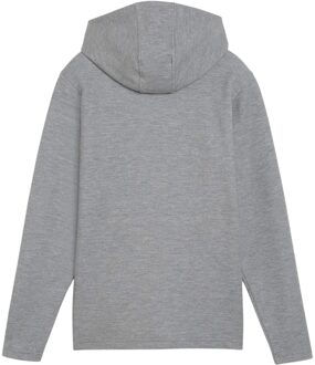 PUMA Heren TeamFINAL Casuals Hooded Jacket (Grijs) - L