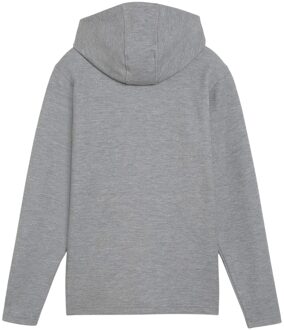 PUMA Heren TeamFINAL Casuals Hooded Jacket (Grijs)
