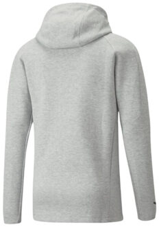 PUMA Heren teamfinal full zip hoodie - maat M Grijs