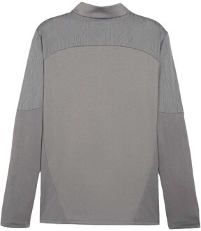 PUMA Heren TeamFinal Quarter Zip Trainingsshirt (Grijs) - 3XL