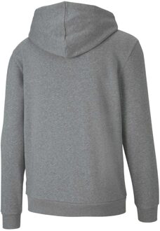 PUMA Heren TeamGoal 23 Casuals Hooded Jacket (Grijs) - S
