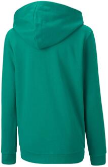 PUMA Heren TeamGoal 23 Casuals Hooded Jacket (Groen) - 7-8J / 122-128cm