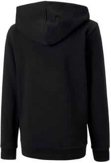 PUMA Heren TeamGoal 23 Casuals Hooded Jacket (Zwart)