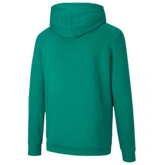 PUMA Heren teamgoal 23 hoodie - maat M Groen