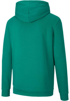 PUMA Heren teamgoal 23 hoodie - maat M Groen