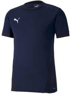 PUMA Heren teamgoal 23 jersey Blauw - S