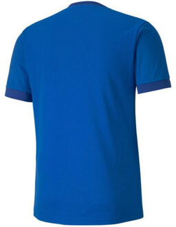 PUMA Heren teamgoal 23 jersey Blauw - S