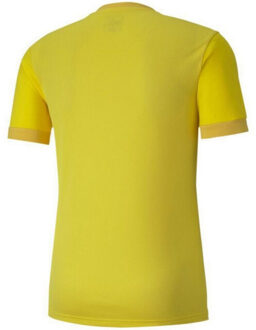 PUMA Heren teamgoal 23 jersey Geel - L