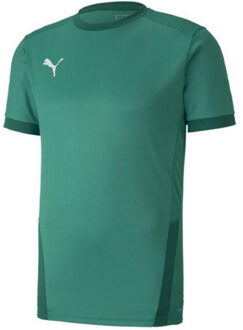 PUMA Heren teamgoal 23 jersey Groen - M