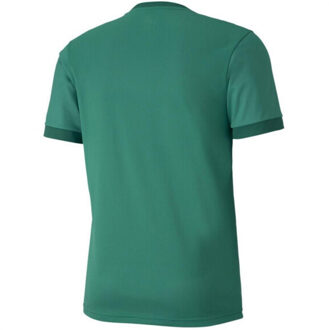 PUMA Heren teamgoal 23 jersey Groen - S