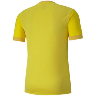 PUMA Heren teamgoal 23 jersey - maat M Geel