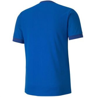 PUMA Heren teamgoal 23 jersey - maat S Blauw