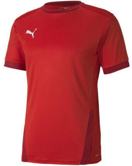 PUMA Heren teamgoal 23 jersey Rood - L