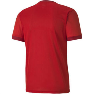 PUMA Heren teamgoal 23 jersey Rood - L