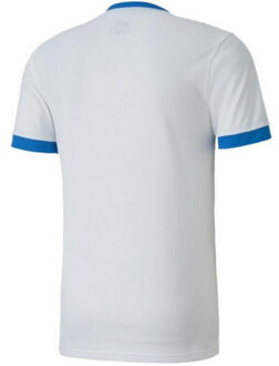 PUMA Heren teamgoal 23 jersey Wit - M
