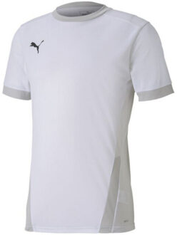 PUMA Heren teamgoal 23 jersey Wit - S