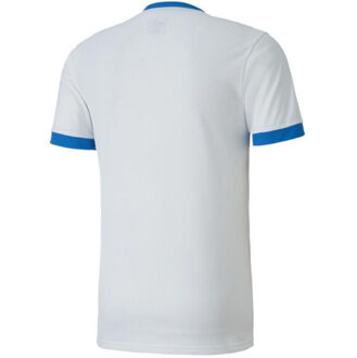 PUMA Heren teamgoal 23 jersey Wit - S