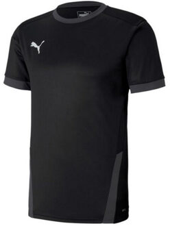 PUMA Heren teamgoal 23 jersey Zwart - S