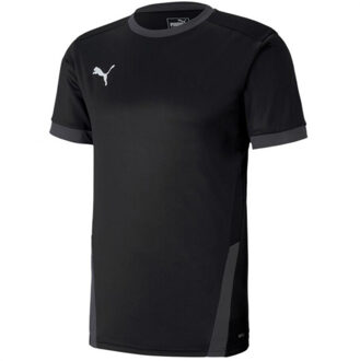 PUMA Heren teamgoal 23 jersey Zwart - S