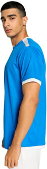 PUMA Heren teamliga jersey Blauw - M