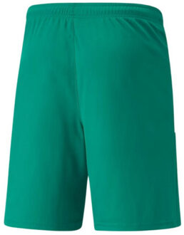 PUMA Heren teamliga shorts Groen - M