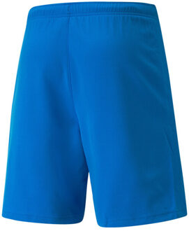 PUMA Heren teamrise sweat shorts Blauw - L