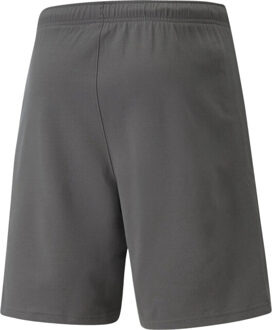 PUMA Heren teamrise sweat shorts Grijs - XXL / XXXL