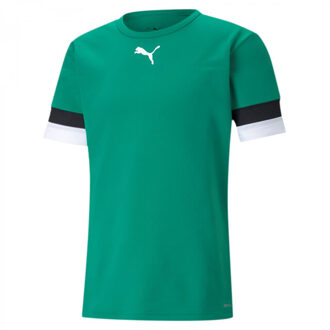 PUMA Heren teamrise trui - maat L Groen